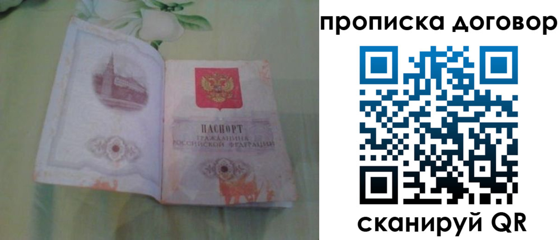 временная регистрация гарантия в Лесном
